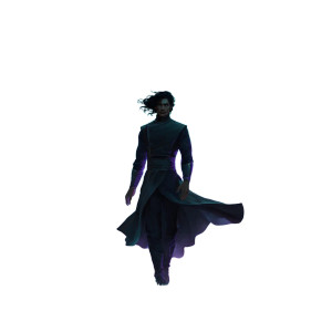 Elf Prince Aurora Vinyl Car Decal Sticker – Waterproof & UV-Resistant 8"
