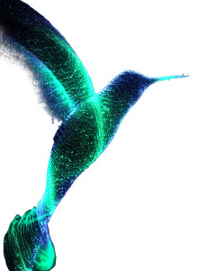 Luminous Digital Hummingbird Vinyl Car Decal Sticker – Waterproof & UV-Resistant 8" Luminous Digital Hummingbird Vinyl Car Decal Sticker – Waterproof & UV-Resistant 8"