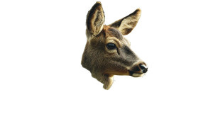 Deer In Woods Vinyl Car Decal Sticker – Waterproof & UV-Resistant 8"