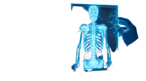 Doctor With Hologram Vinyl Car Decal Sticker – Waterproof & UV-Resistant 8" Doctor With Hologram Vinyl Car Decal Sticker – Waterproof & UV-Resistant 8"