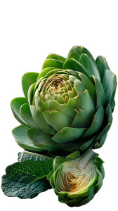 Fresh Green Artichoke Vinyl Car Decal Sticker – Waterproof & UV-Resistant 8"