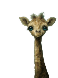 Baby Giraffe Illustration Vinyl Car Decal Sticker – Waterproof & UV-Resistant 8" Baby Giraffe Illustration Vinyl Car Decal Sticker – Waterproof & UV-Resistant 8"