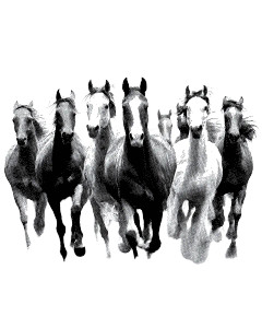 Galloping Horses Vinyl Car Decal Sticker – Waterproof & UV-Resistant 8" Galloping Horses Vinyl Car Decal Sticker – Waterproof & UV-Resistant 8"