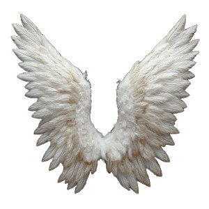 Angelic Wings V2 Vinyl Car Decal Sticker – Waterproof & UV-Resistant 8"