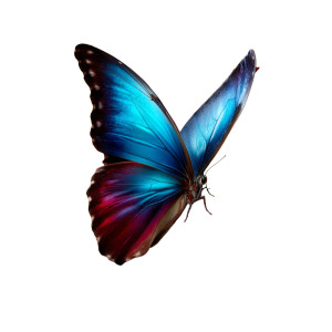 Morpho Butterfly 'K' Vinyl Car Decal Sticker – Waterproof & UV-Resistant 8"