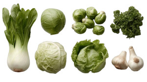 Fresh Vegetables V2 Vinyl Car Decal Sticker – Waterproof & UV-Resistant 8"