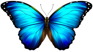 Butterfly Vinyl Car Decal Sticker – Waterproof & UV-Resistant 8" Butterfly Vinyl Car Decal Sticker – Waterproof & UV-Resistant 8"