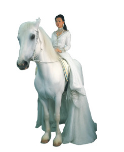 Bride On Subway Vinyl Car Decal Sticker – Waterproof & UV-Resistant 8"