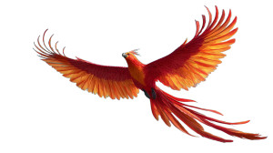 Phoenix In Flight V3 Vinyl Car Decal Sticker – Waterproof & UV-Resistant 8"