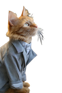 Cat In Suit V2 Vinyl Car Decal Sticker – Waterproof & UV-Resistant 8"