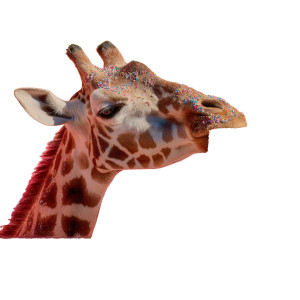 Giraffe In Bathtub Vinyl Car Decal Sticker – Waterproof & UV-Resistant 8"