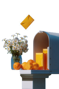 White Post Box Vinyl Car Decal Sticker – Waterproof & UV-Resistant 8"