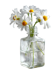 Chamomile Vase Vinyl Car Decal Sticker – Waterproof & UV-Resistant 8"