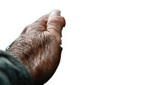 Hand Touching Tree Vinyl Car Decal Sticker – Waterproof & UV-Resistant 8"