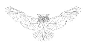 Geometric Owl Vinyl Car Decal Sticker – Waterproof & UV-Resistant 8" Geometric Owl Vinyl Car Decal Sticker – Waterproof & UV-Resistant 8"
