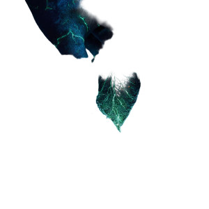 Leafy Guardian Vinyl Car Decal Sticker – Waterproof & UV-Resistant 8"