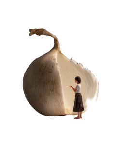 Girl In Onion Vinyl Car Decal Sticker – Waterproof & UV-Resistant 8"