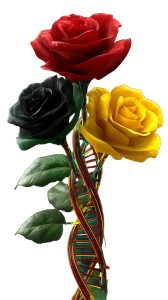 Intertwined Dna Roses Vinyl Car Decal Sticker – Waterproof & UV-Resistant 8"