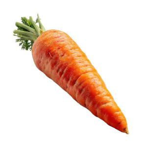 Vibrant Carrot Vinyl Car Decal Sticker – Waterproof & UV-Resistant 8"