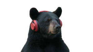Bear With Headphones Vinyl Car Decal Sticker – Waterproof & UV-Resistant 8" Bear With Headphones Vinyl Car Decal Sticker – Waterproof & UV-Resistant 8"