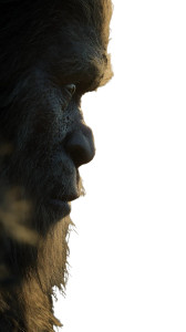 Bigfoot Close-Up Vinyl Car Decal Sticker – Waterproof & UV-Resistant 8" Bigfoot Close-Up Vinyl Car Decal Sticker – Waterproof & UV-Resistant 8"