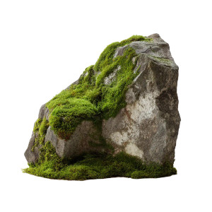 Mossy Rock Vinyl Car Decal Sticker – Waterproof & UV-Resistant 8"