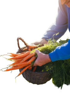 Happy Arab Farmer Vinyl Car Decal Sticker – Waterproof & UV-Resistant 8"