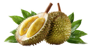 Fresh Durian Vinyl Car Decal Sticker – Waterproof & UV-Resistant 8"