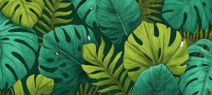 Green Flora Illustration Vinyl Car Decal Sticker – Waterproof & UV-Resistant 8"