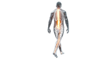 Futuristic Hologram Human Vinyl Car Decal Sticker – Waterproof & UV-Resistant 8"