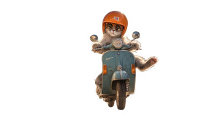 Persian Cat Vespa Vinyl Car Decal Sticker – Waterproof & UV-Resistant 8" Persian Cat Vespa Vinyl Car Decal Sticker – Waterproof & UV-Resistant 8"