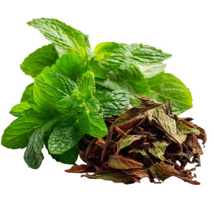Fresh Mint Leaves Vinyl Car Decal Sticker – Waterproof & UV-Resistant 8" Fresh Mint Leaves Vinyl Car Decal Sticker – Waterproof & UV-Resistant 8"