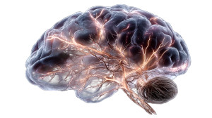 Glowing Brain Vinyl Car Decal Sticker – Waterproof & UV-Resistant 8" Glowing Brain Vinyl Car Decal Sticker – Waterproof & UV-Resistant 8"