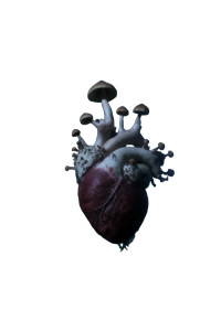Mushroom-Overgrown Heart Vinyl Car Decal Sticker – Waterproof & UV-Resistant 8"