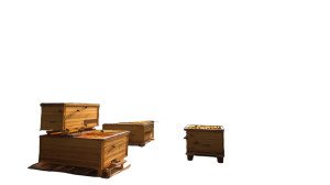 Solar-Powered Beehives Vinyl Car Decal Sticker – Waterproof & UV-Resistant 8"