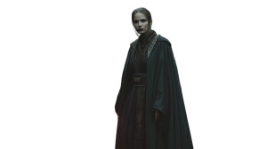 Jedi Warrior V5 Vinyl Car Decal Sticker – Waterproof & UV-Resistant 8"