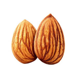 Upright Almonds Vinyl Car Decal Sticker – Waterproof & UV-Resistant 8"