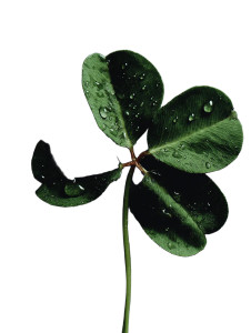 Four Leaf Clover Vinyl Car Decal Sticker – Waterproof & UV-Resistant 8"