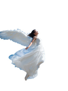 Majestic Angel V5 Vinyl Car Decal Sticker – Waterproof & UV-Resistant 8"