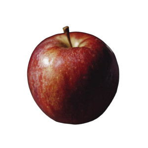 Red Apple Closeup Vinyl Car Decal Sticker – Waterproof & UV-Resistant 8"