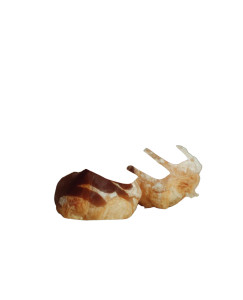 Elegant Manicured Hands Vinyl Car Decal Sticker – Waterproof & UV-Resistant 8"