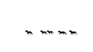 Running Horses Sunset Vinyl Car Decal Sticker – Waterproof & UV-Resistant 8" Running Horses Sunset Vinyl Car Decal Sticker – Waterproof & UV-Resistant 8"
