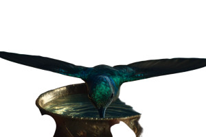 Ceremonial Hummingbird Moment V2 Vinyl Car Decal Sticker – Waterproof & UV-Resistant 8" Ceremonial Hummingbird Moment V2 Vinyl Car Decal Sticker – Waterproof & UV-Resistant 8"