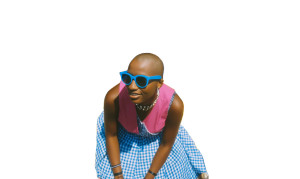 Picnic Skirt Gathering Vinyl Car Decal Sticker – Waterproof & UV-Resistant 8"