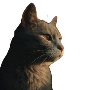 A Cat V30 Vinyl Car Decal Sticker – Waterproof & UV-Resistant 8" A Cat V30 Vinyl Car Decal Sticker – Waterproof & UV-Resistant 8"