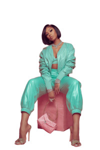 Megan Thee Stallion Vinyl Car Decal Sticker – Waterproof & UV-Resistant 8"