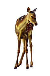 Affectionate Deer Vinyl Car Decal Sticker – Waterproof & UV-Resistant 8" Affectionate Deer Vinyl Car Decal Sticker – Waterproof & UV-Resistant 8"
