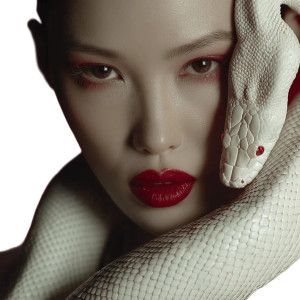 East Asian Woman With Snake Vinyl Car Decal Sticker – Waterproof & UV-Resistant 8"