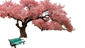 Blooming Trees Japan Vinyl Car Decal Sticker – Waterproof & UV-Resistant 8"