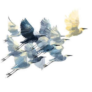 Flock Of Birds Vinyl Car Decal Sticker – Waterproof & UV-Resistant 8"
